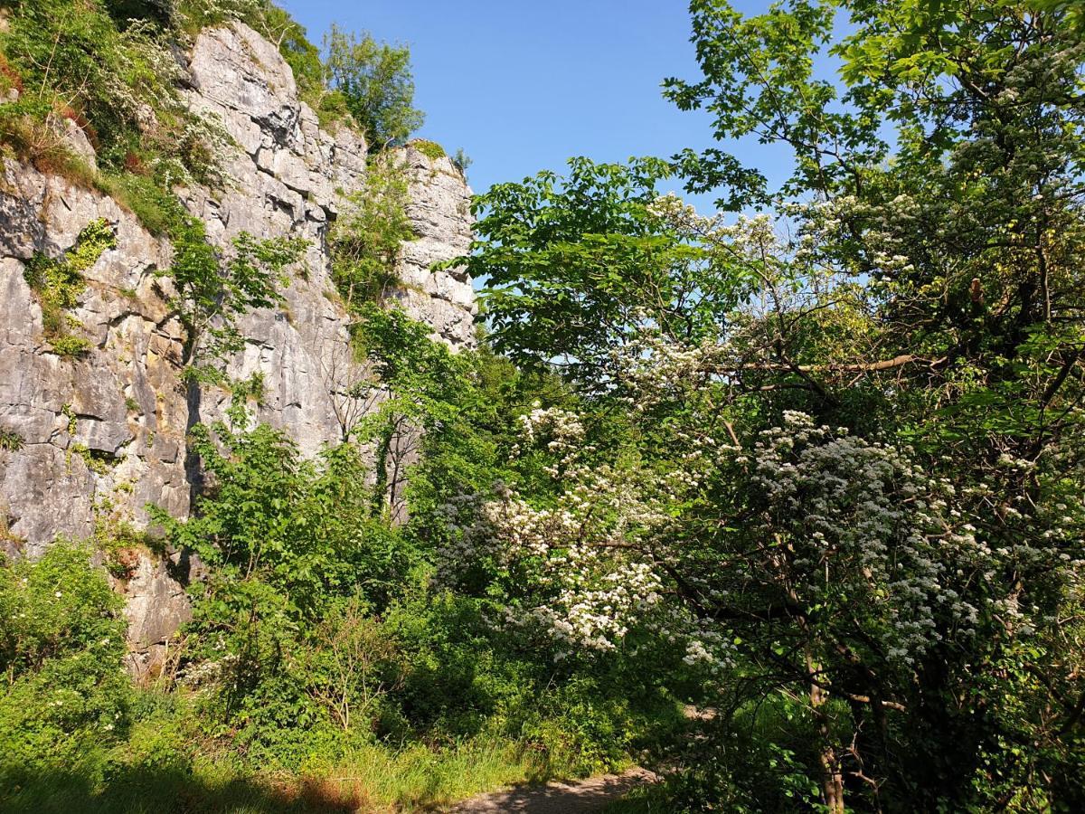 Stony Middleton The Cottage المظهر الخارجي الصورة